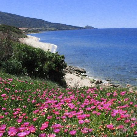 Residenza Sul Mare Apart otel Valledoria  Dış mekan fotoğraf